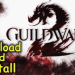 Guild Wars 2